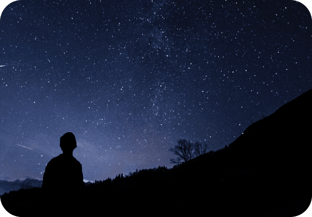 Surveys & Market Research